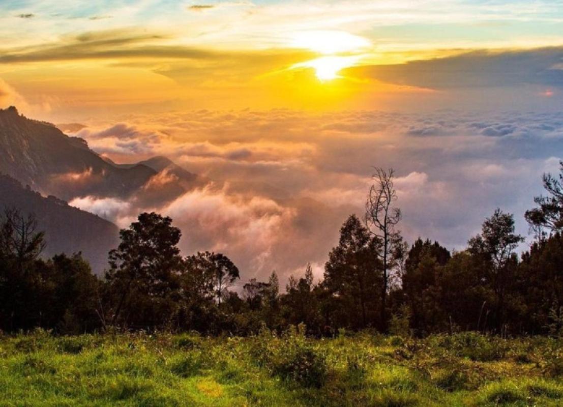 Cloud Walk Bed & Breakfast Kodaikanal Dış mekan fotoğraf