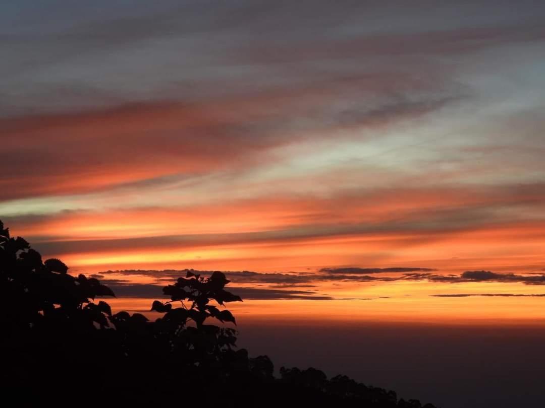Cloud Walk Bed & Breakfast Kodaikanal Dış mekan fotoğraf