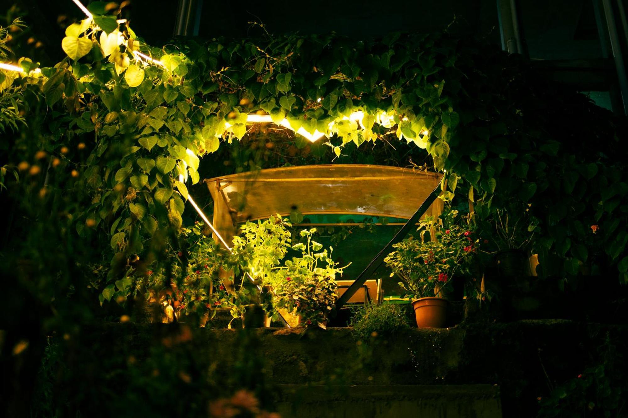 Cloud Walk Bed & Breakfast Kodaikanal Dış mekan fotoğraf